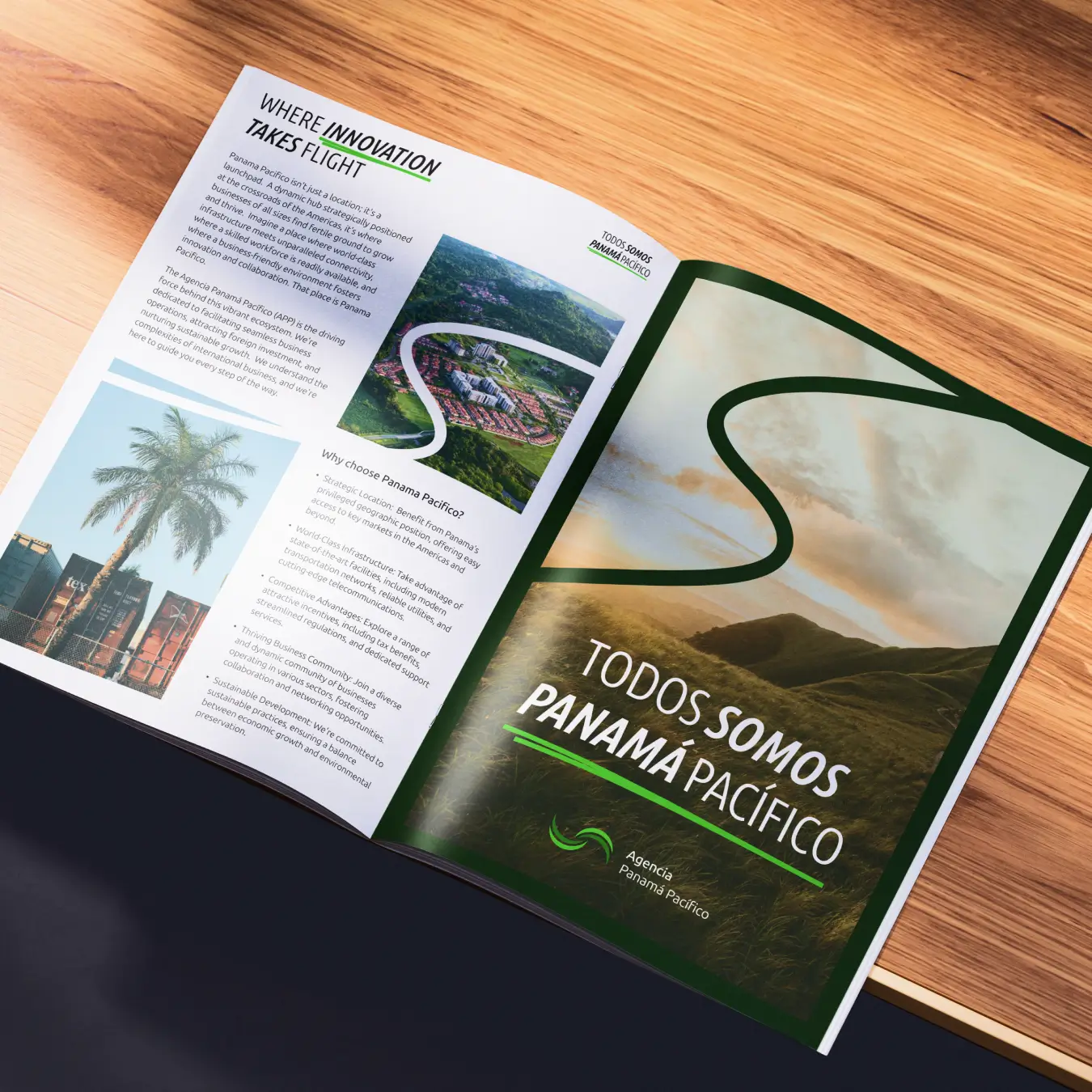 Agencia Panamá Pacífico Rebranding — 2