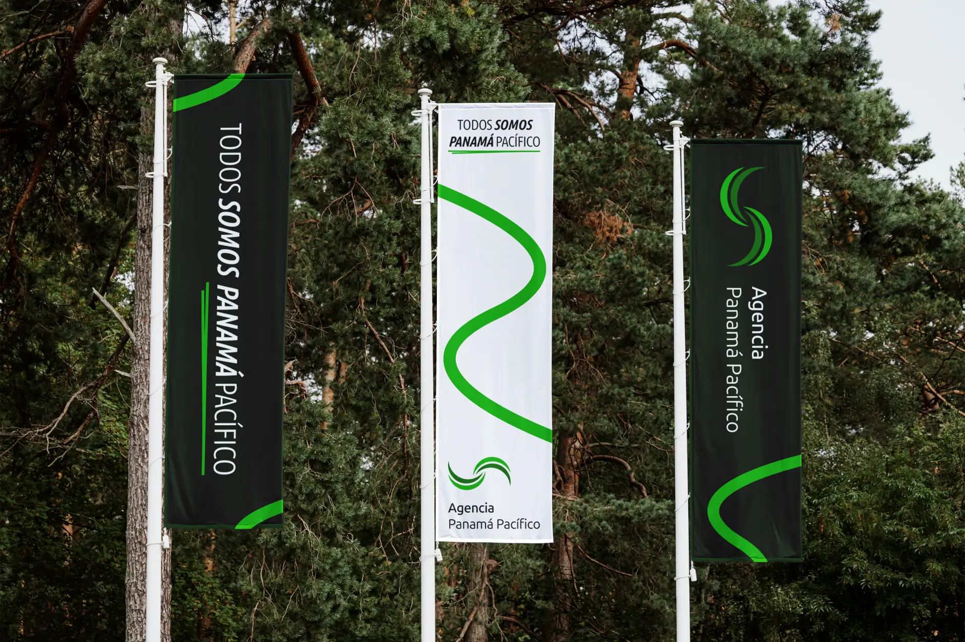 Agencia Panamá Pacífico Rebranding — 5