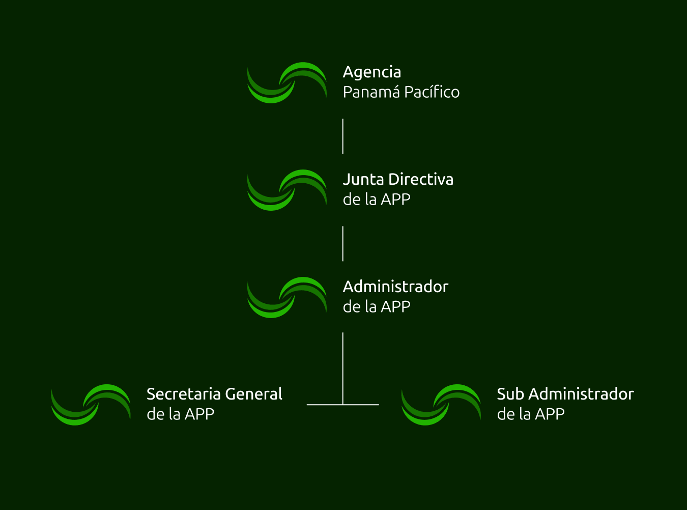 Agencia Panamá Pacífico Rebranding — 6