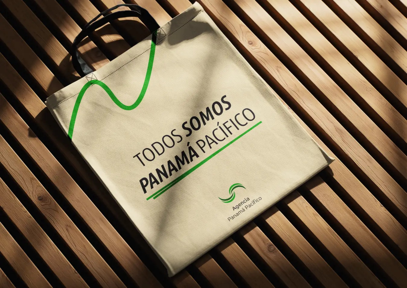 Agencia Panamá Pacífico Rebranding — 17