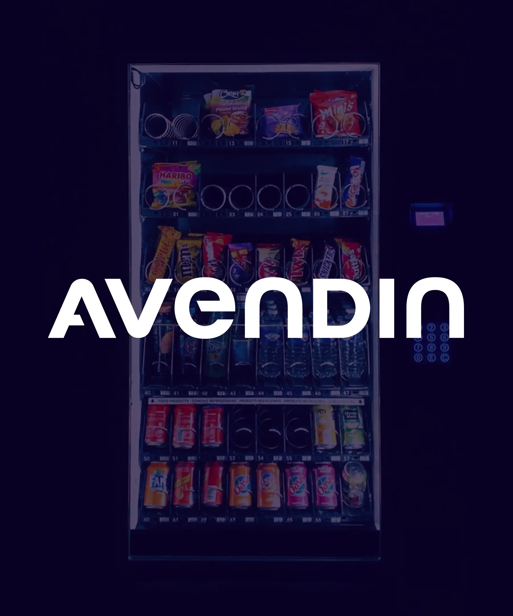 Avendin Branding — 2