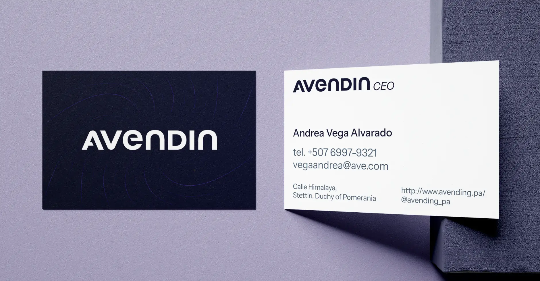 Avendin Branding — 15